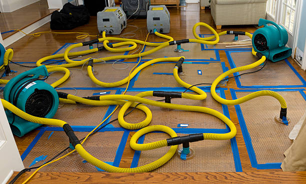 Professional Flood Damage Restoration technician working in Renault, IL